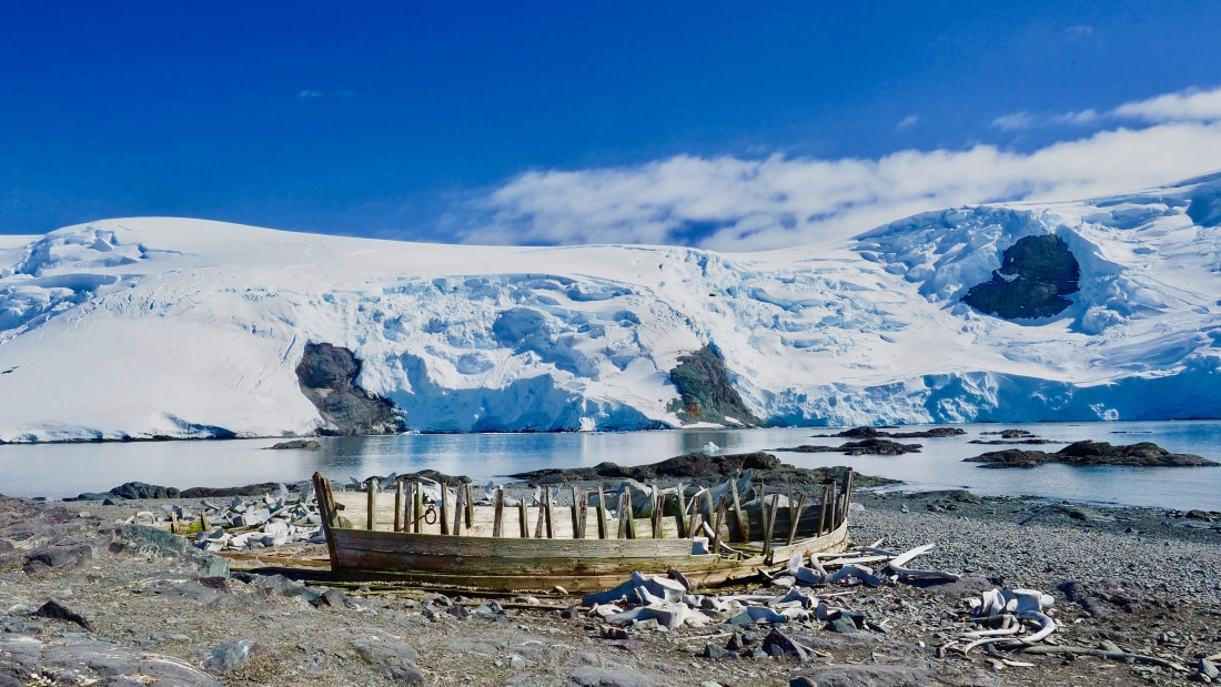 Whale bones on the beach, Antarctic Peninsula