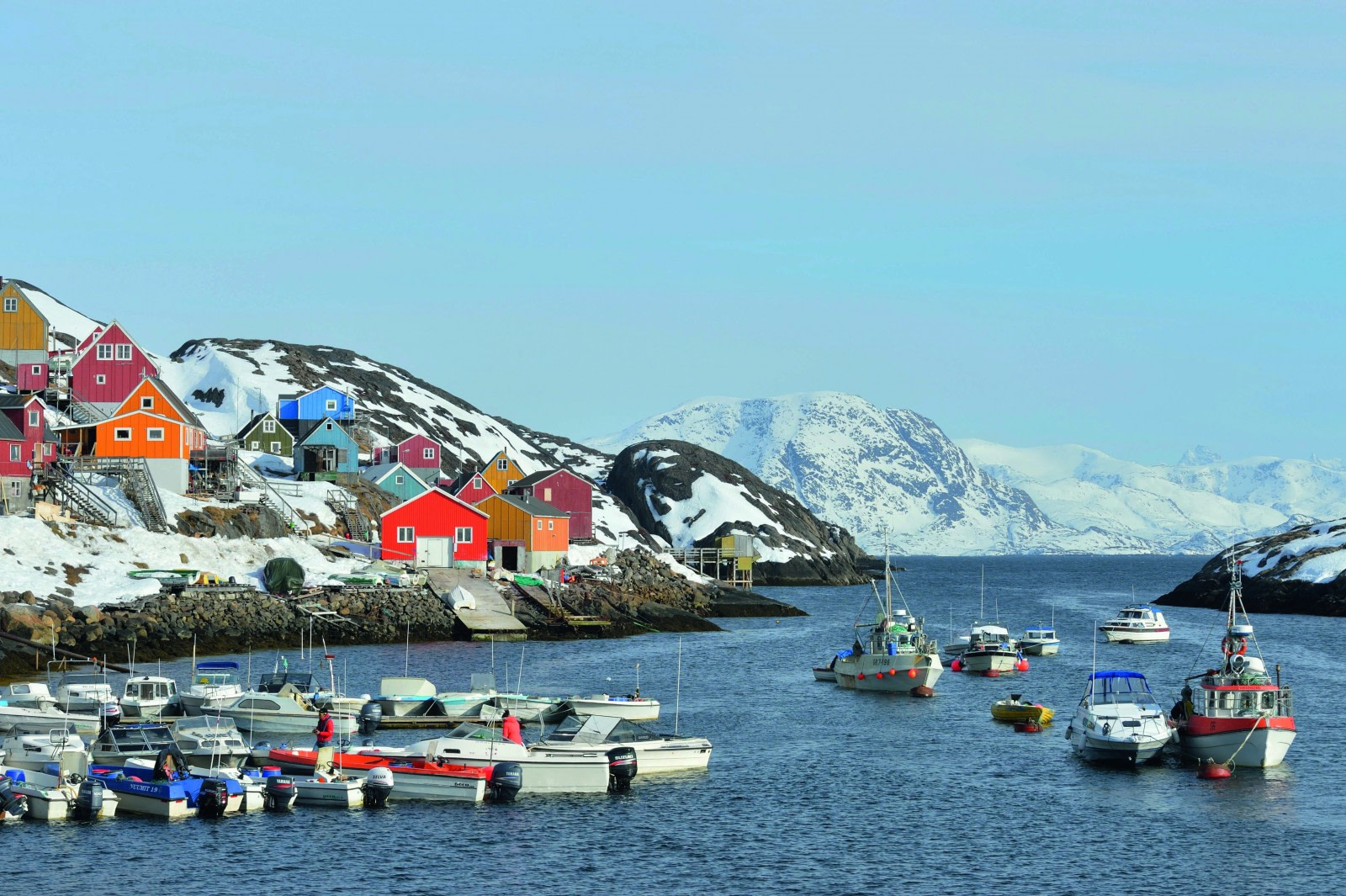 Wildlife in Greenland: Fish