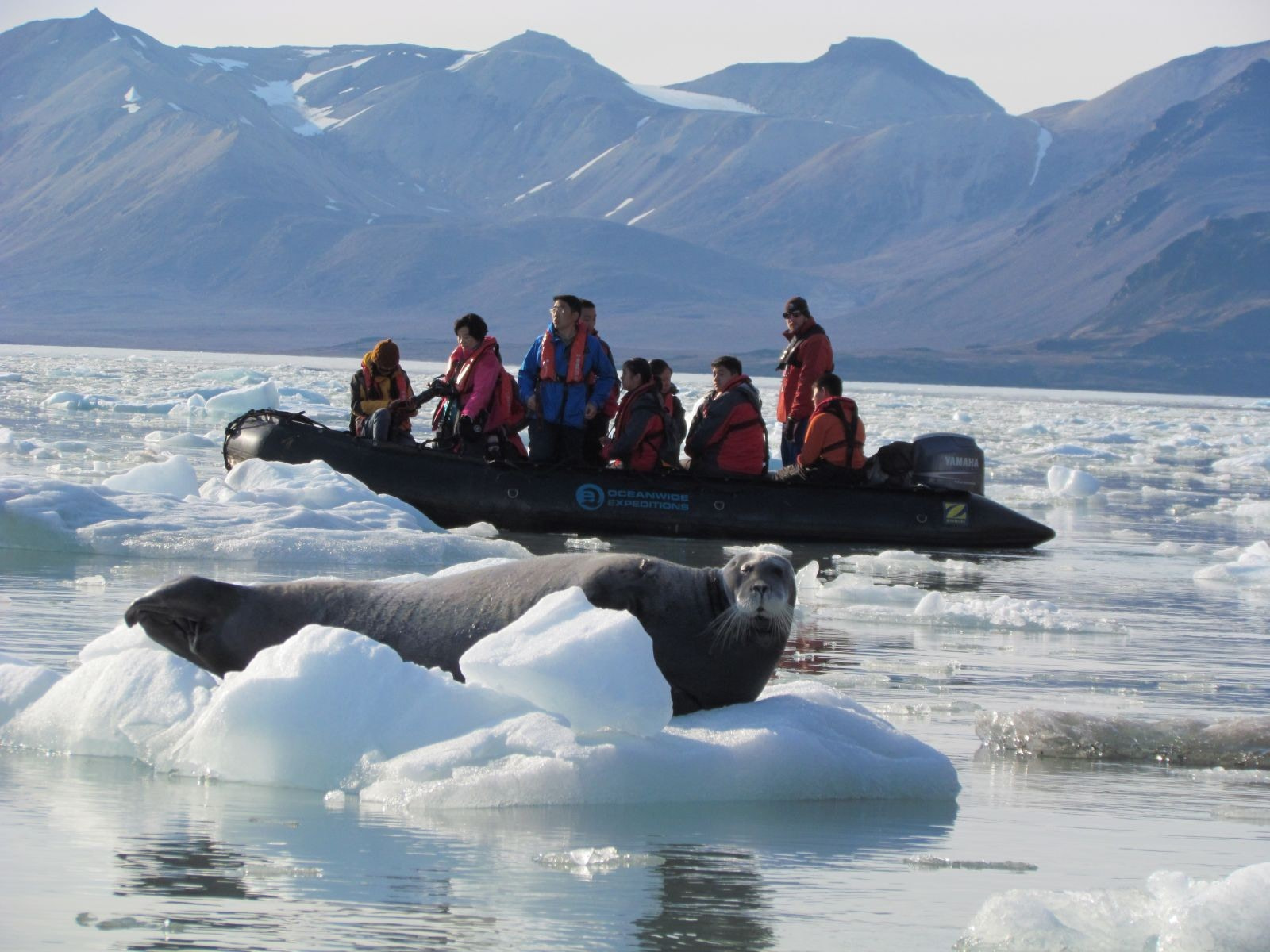 Ice fishing  [Visit Greenland!]