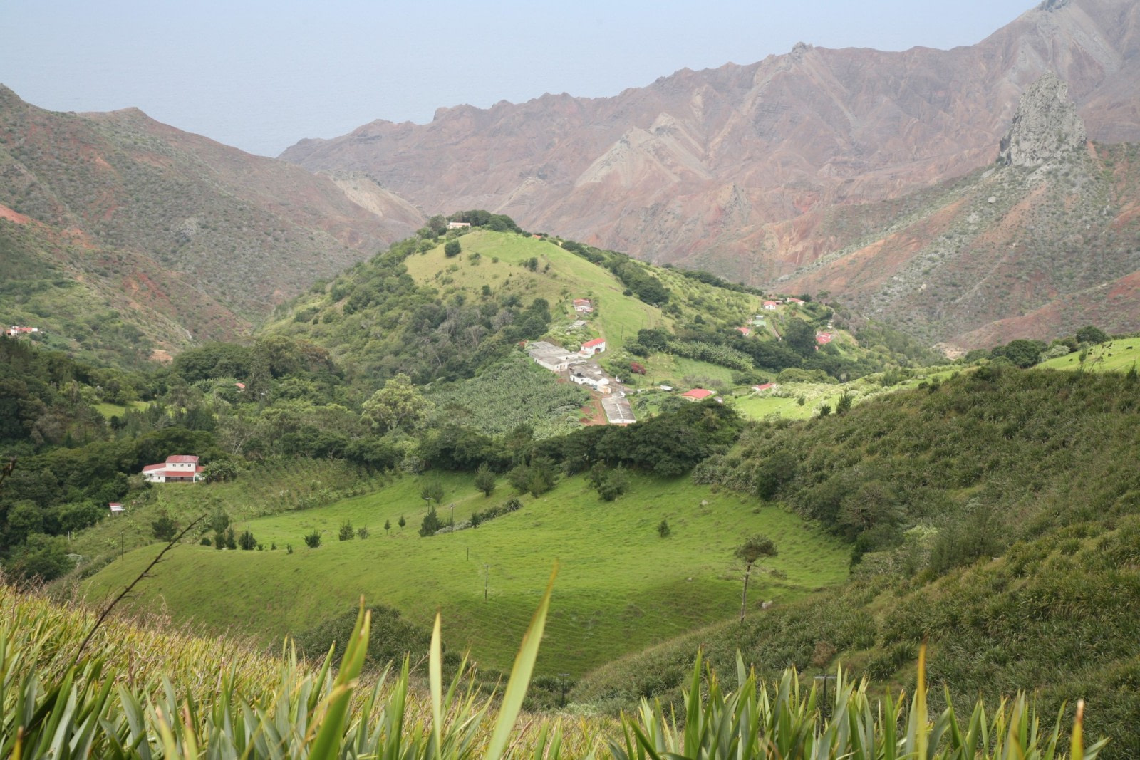 Hiking auf St. Helena