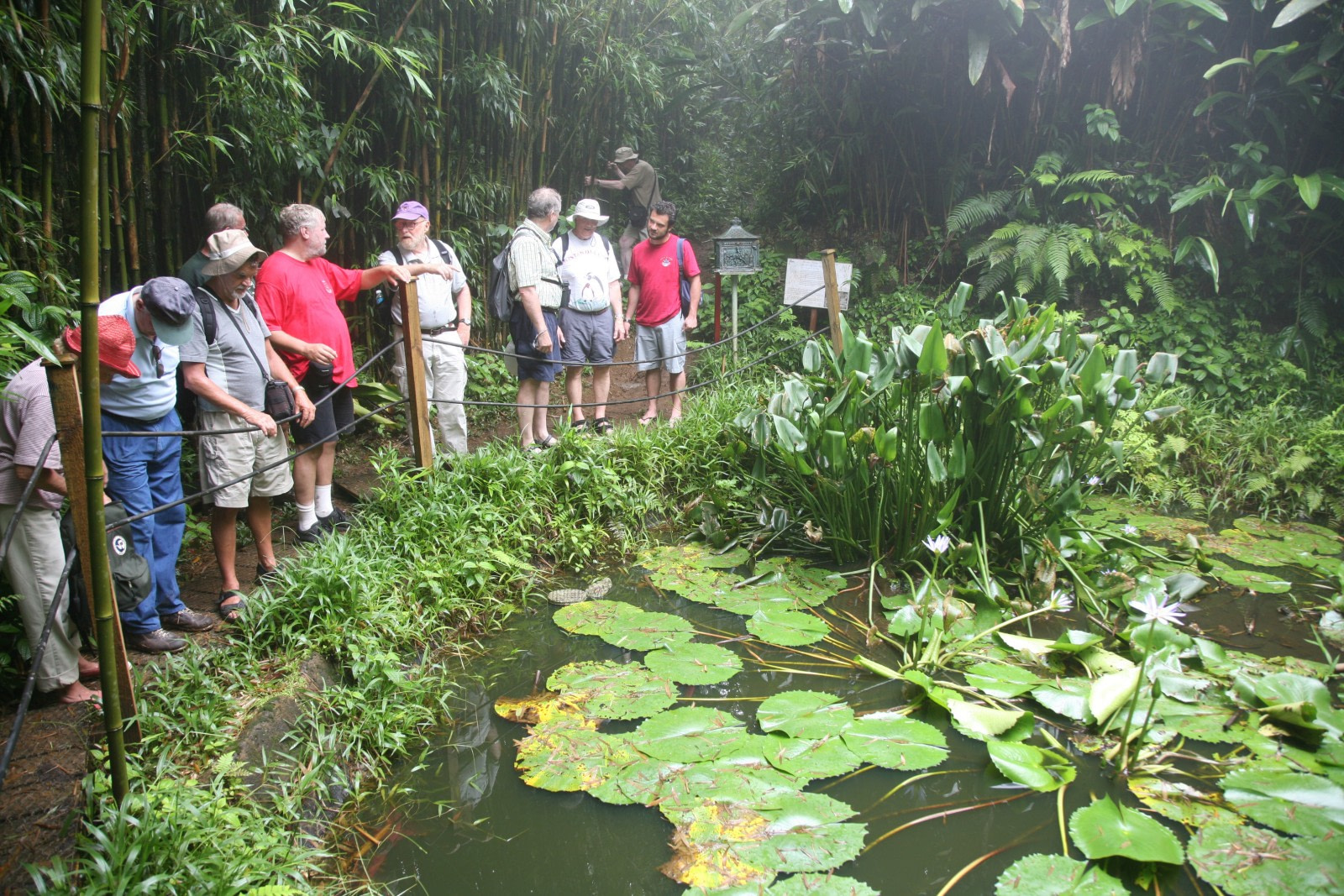 Hiking on Ascension Island