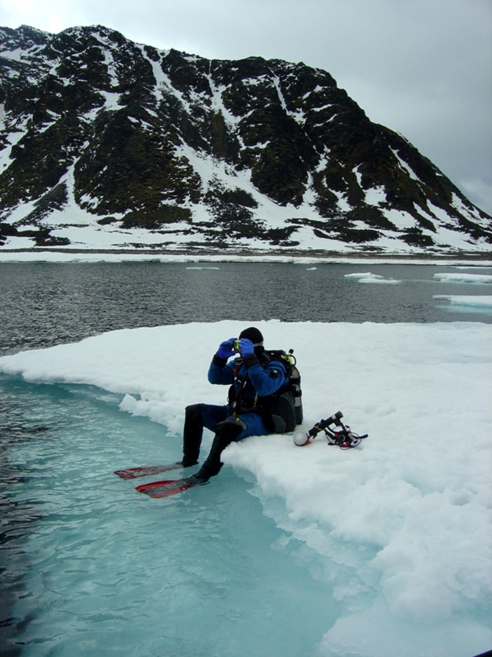 Diving in Greenland