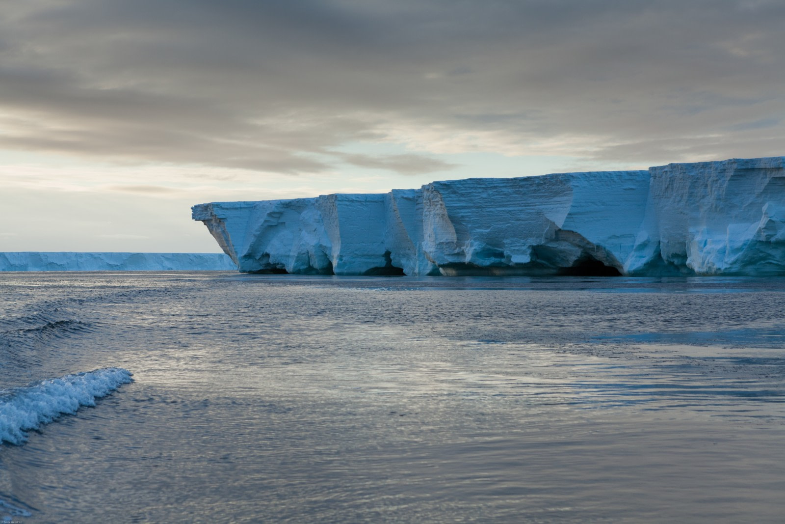 The Ross Ice shelf, Ross Sea