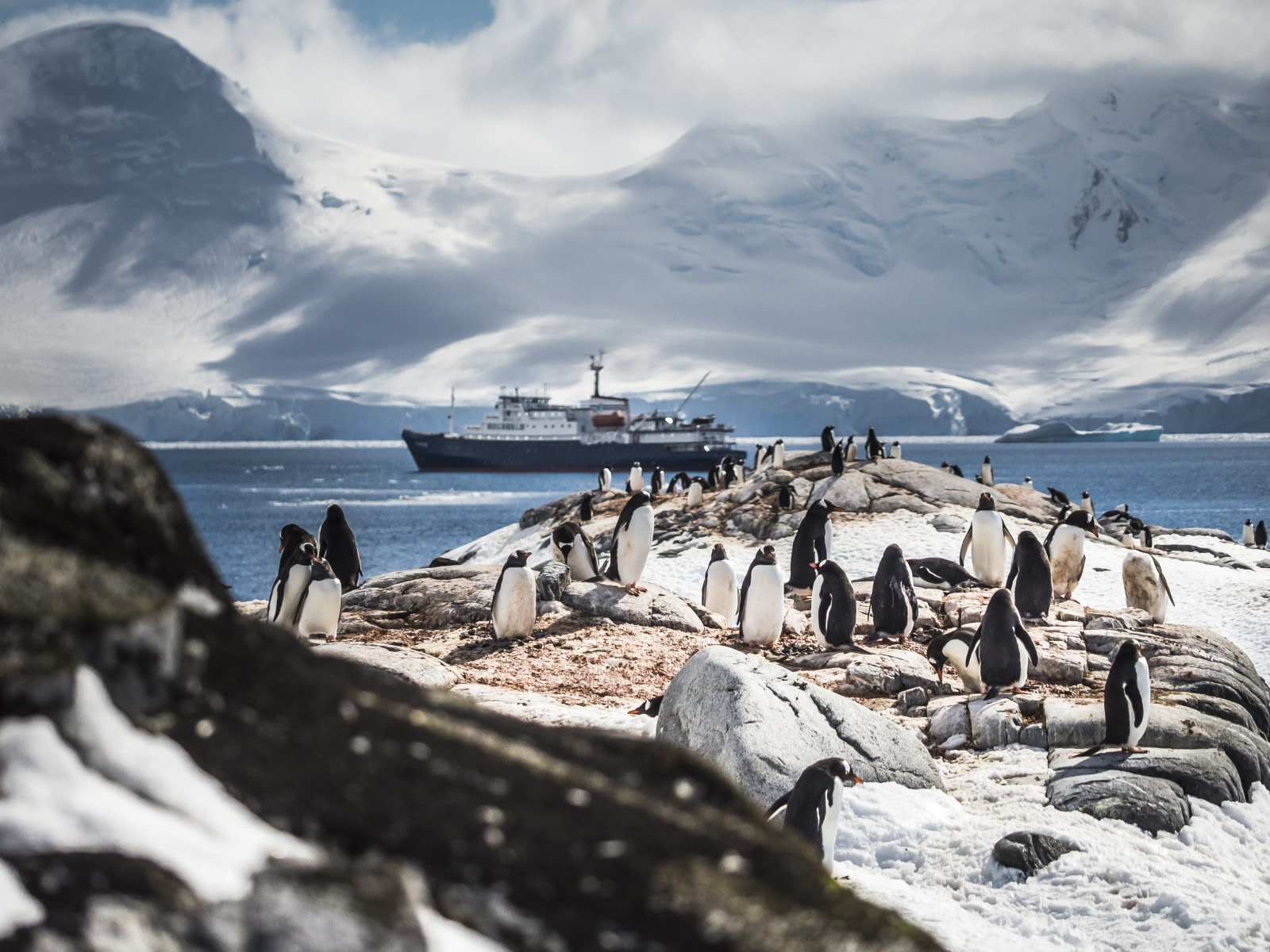 tourist spots in antarctica