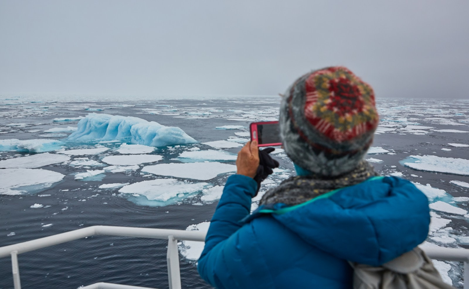 North Spitsbergen Polar Bear Special, June © Markus Eichenberger ...