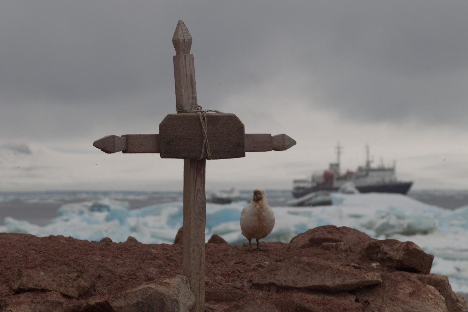 Weddell-Meer und seine Geschichte