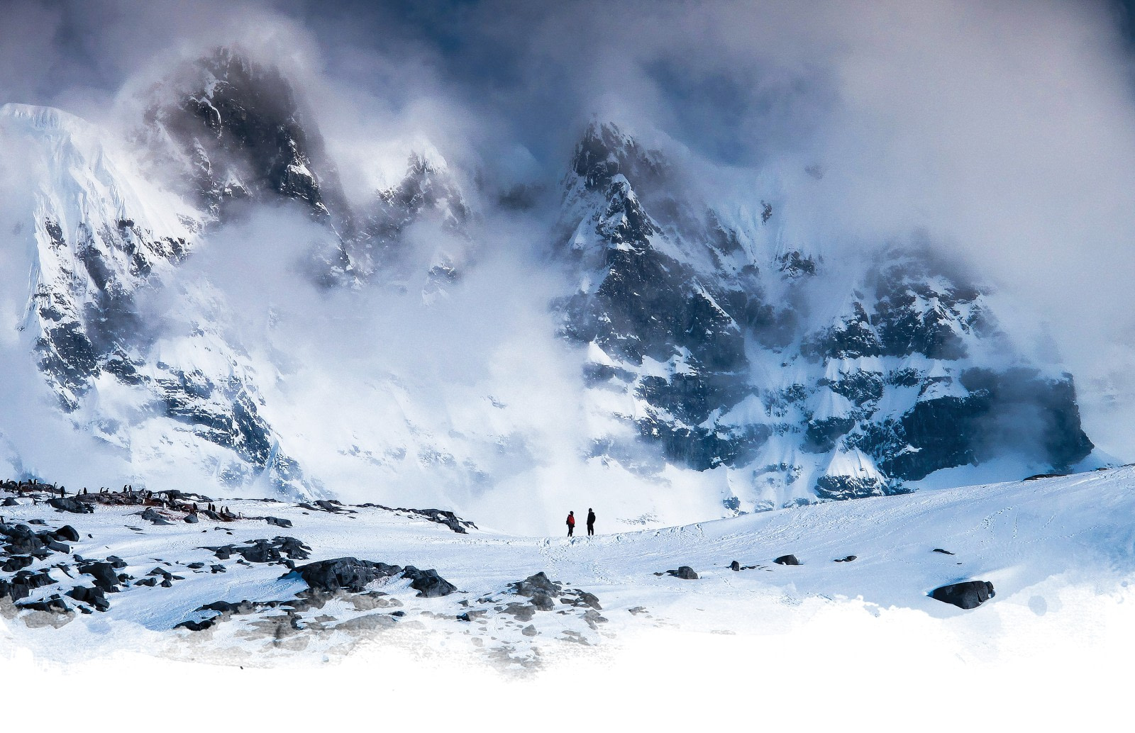 antarctica cruise with landing