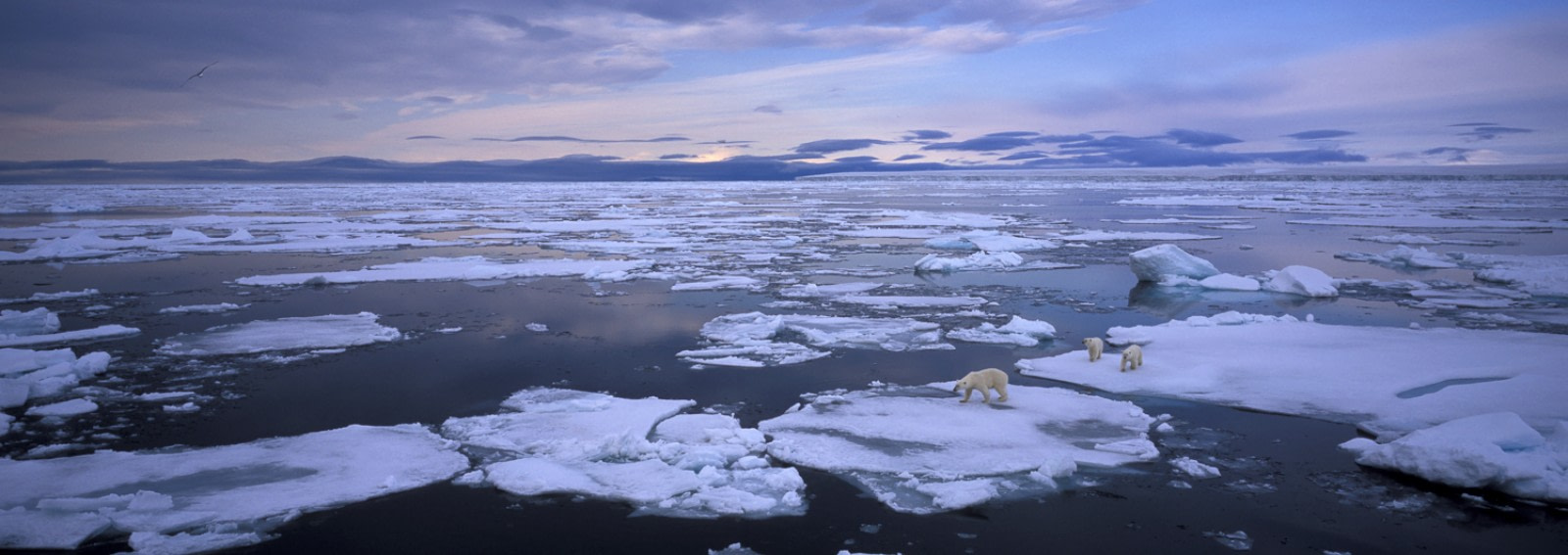 Nordaustlandet Ice Cap