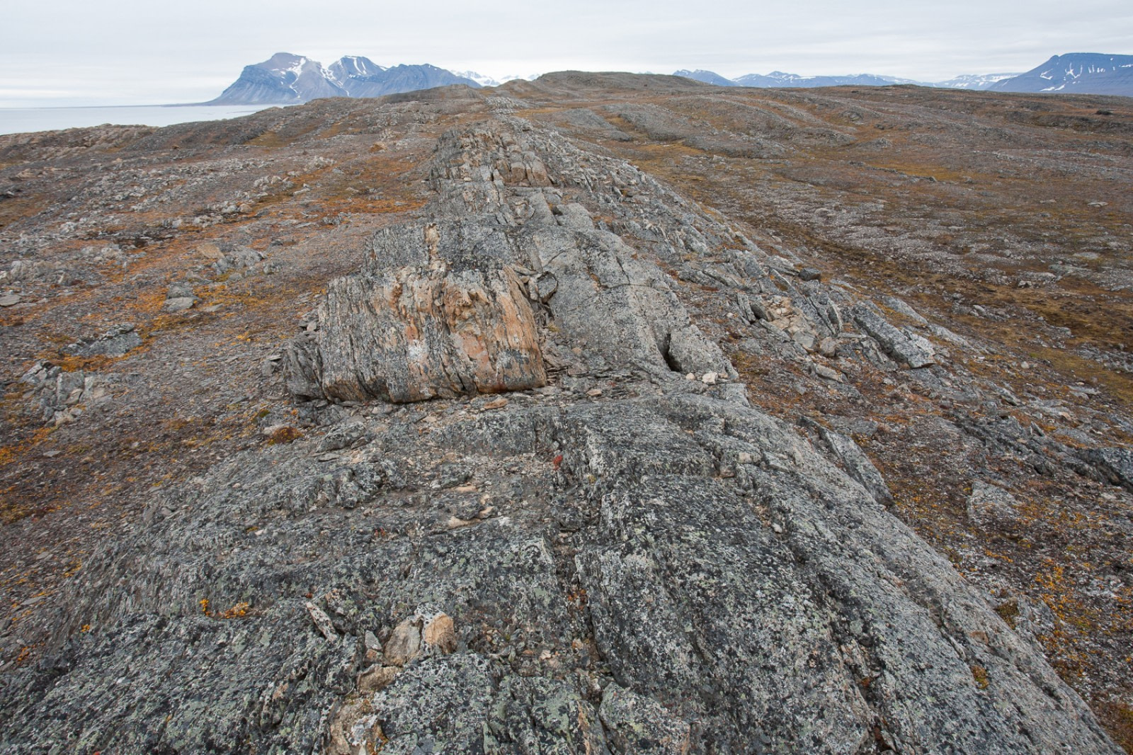 Akseløya