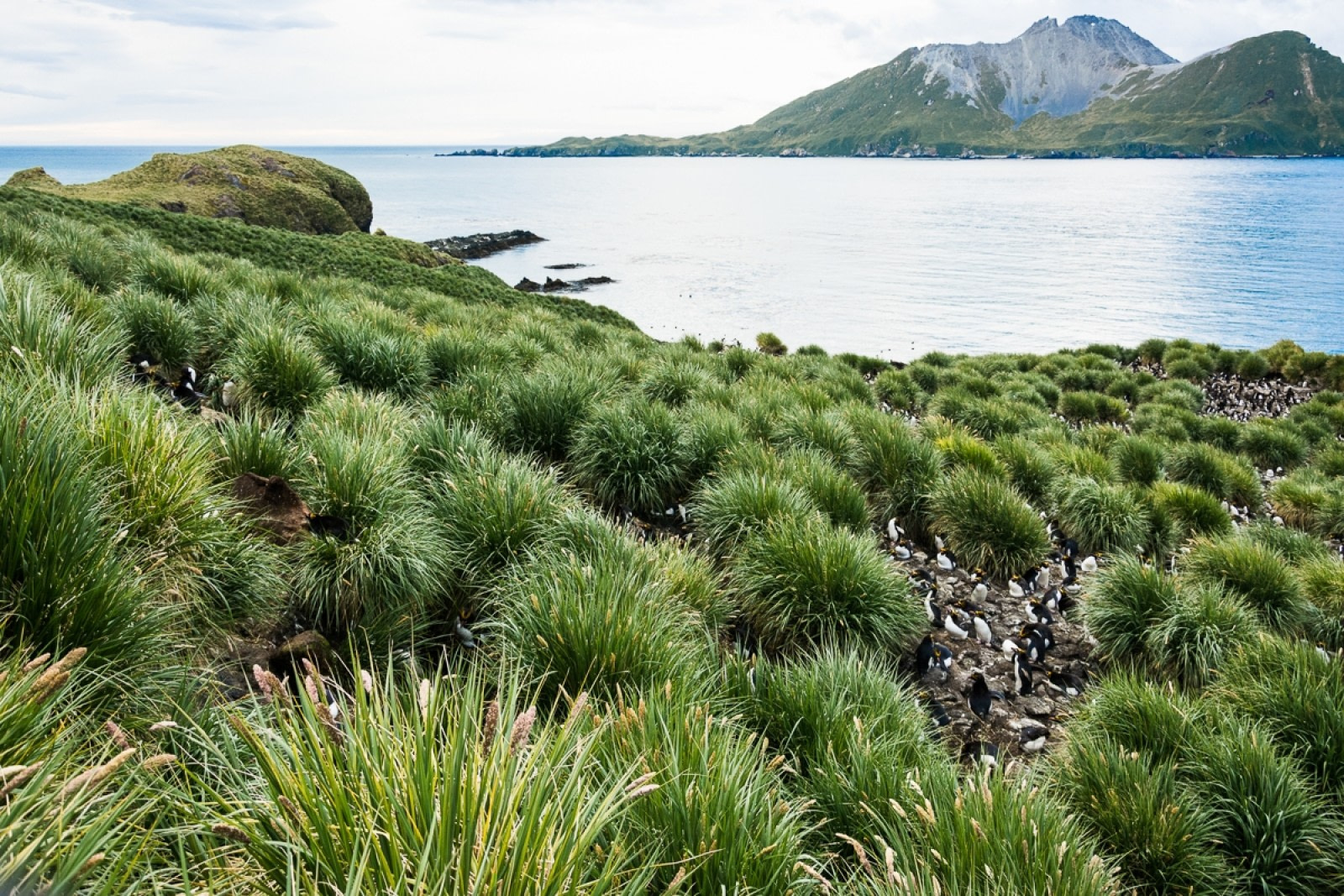 Bahía de Cooper