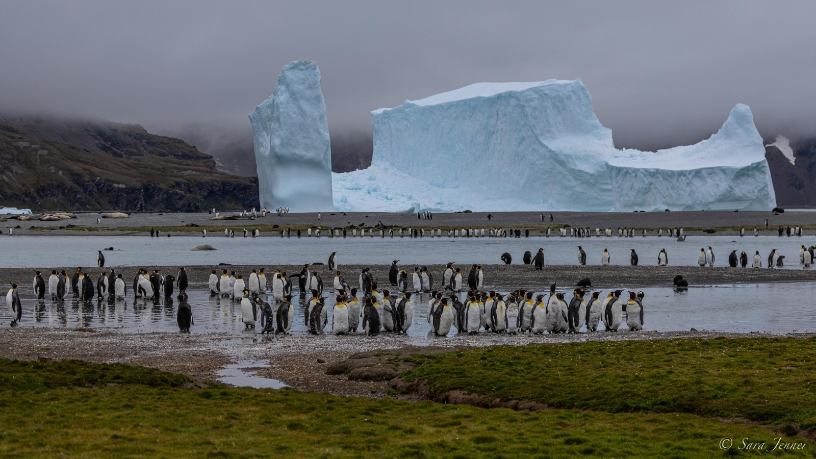 Polar King Drive In, Old drive in restaurant hanging in the…