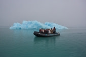 North Spitsbergen Polar Bear Special, June © Markus Eichenberger-Oceanwide Expeditions (140).jpg