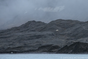 Barentsøya