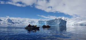 Programa de crucero en zodiac y en la costa