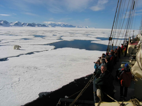 svalbard polar bear tours