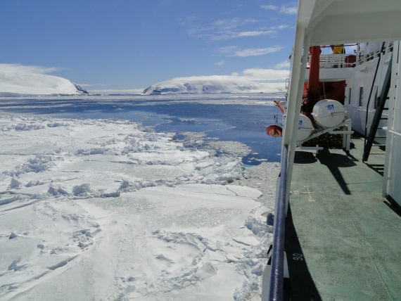 Pack Ice  Oceanwide Expeditions