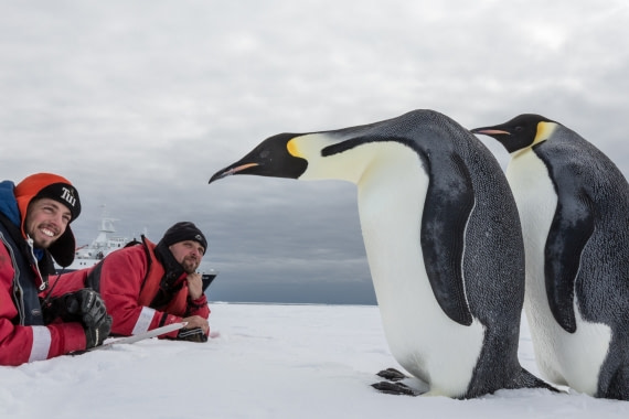 In Search for the Emperor Penguin | Oceanwide Expeditions