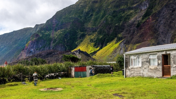 elusive/reclusive residents of tristan du cunha, Plancius, atlantic odyssey 2017