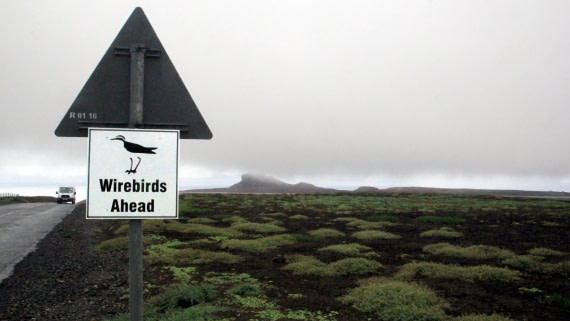 PLA35-18 WireBird roadsign