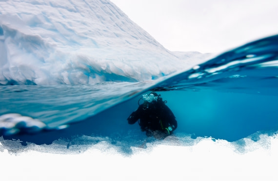Antarctica - Beyond the Polar Circle - whale watching