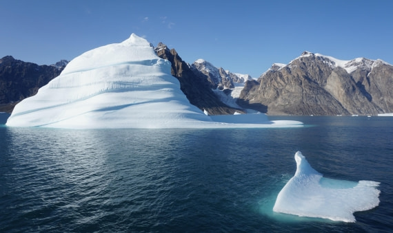 Icebergs with their snow-jackets on