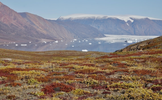 Rypefjord’s Colours of the Rainbow