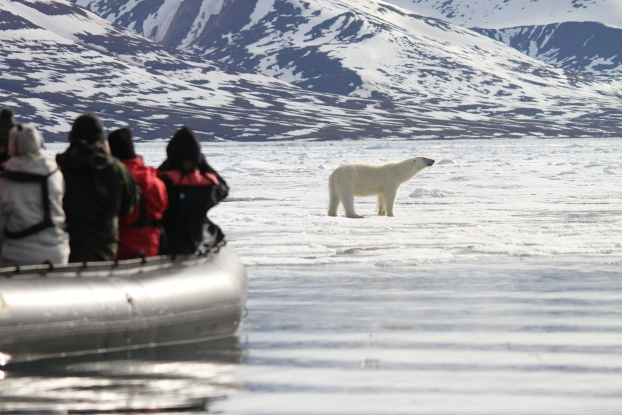 Zodiac cruising Spitsbergen