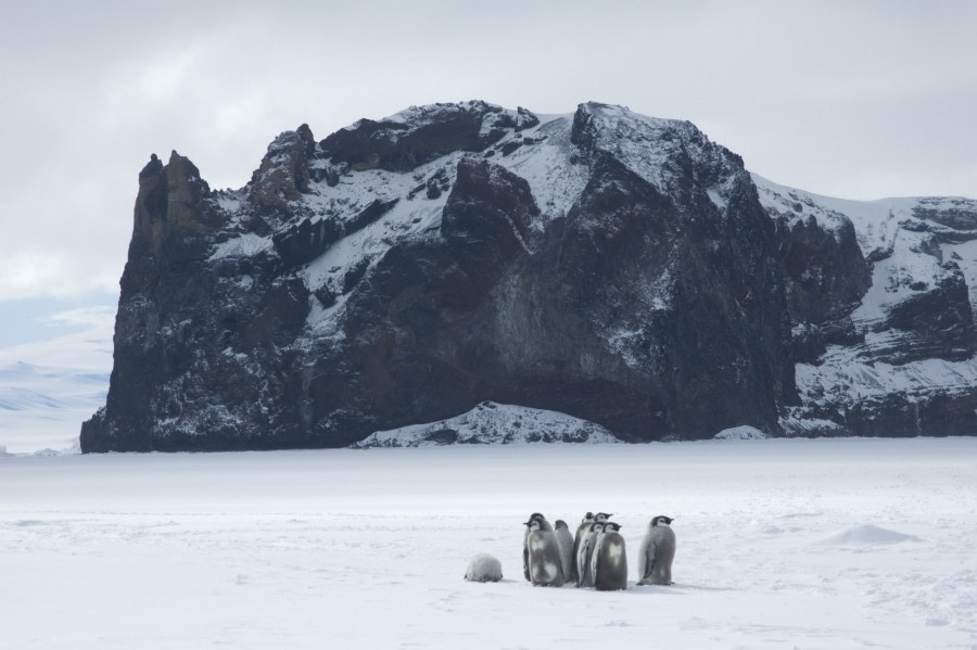 Emperor rookery at Cape Washington, Ross Sea