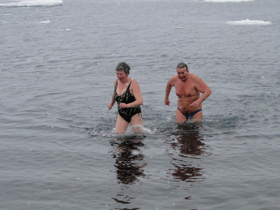 Take a plunge in Antarctic waters