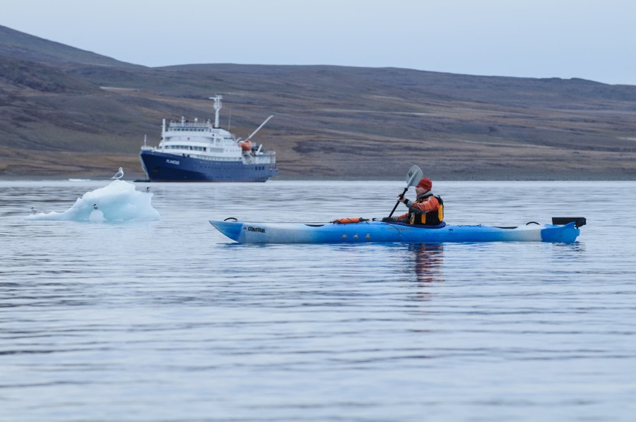 Greenland coastline kayaking