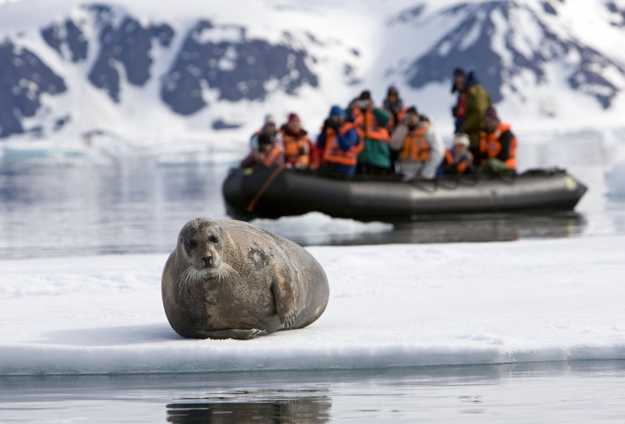 Zodiac cruising | Wildlife spotting