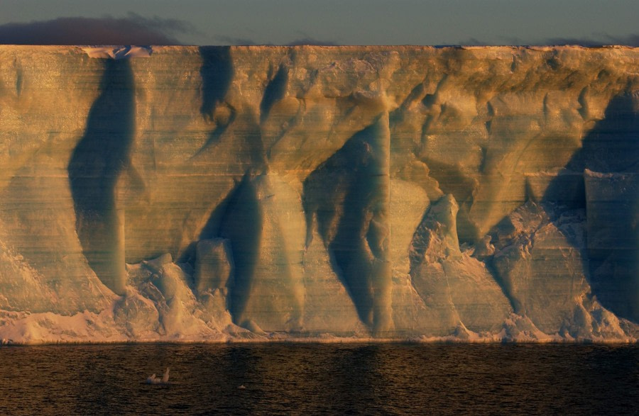 Tabular Iceberg at South Orkneys