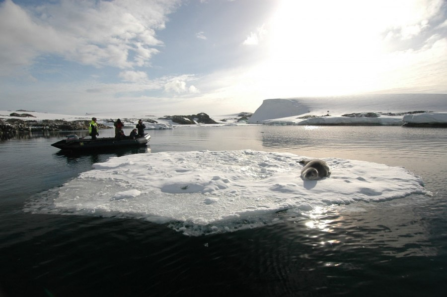 Zodiac cruising | Wildlife spotting