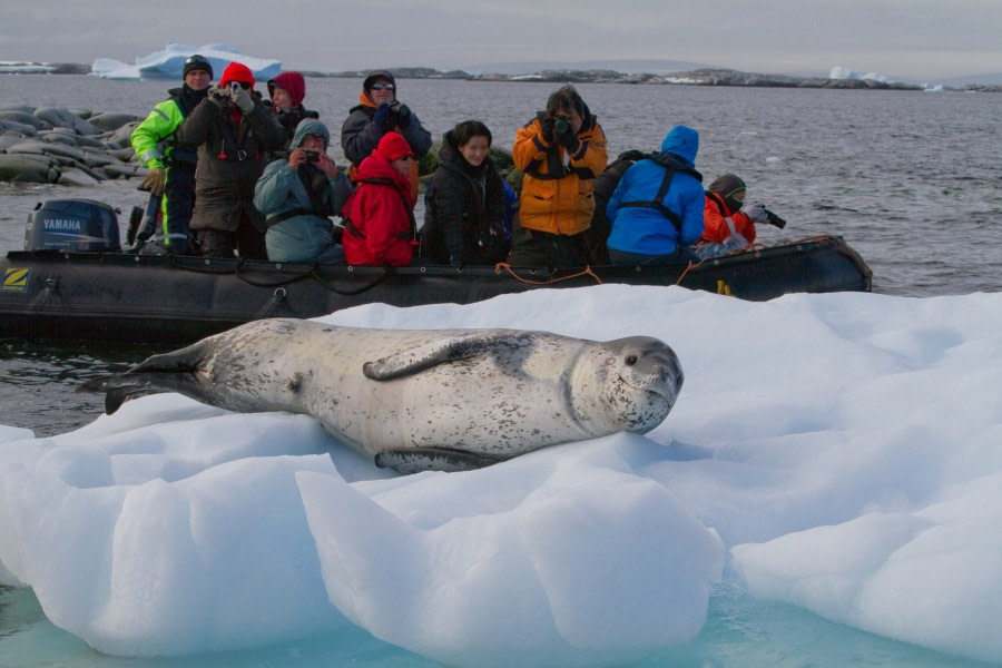 Zodiac cruising | Wildlife spotting