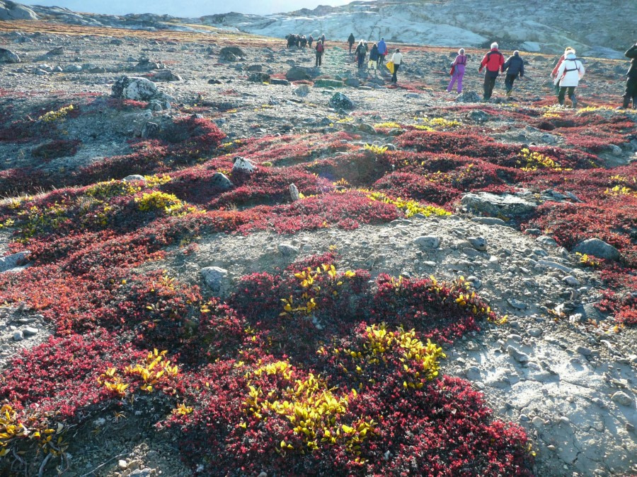 walking / hiking on the tundra