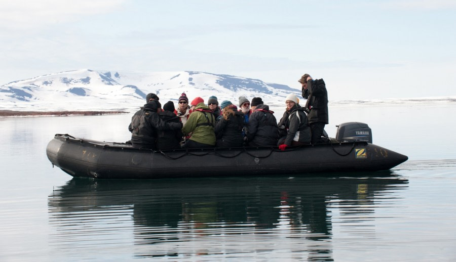 Whales & Wildlife spotting from the zodiac