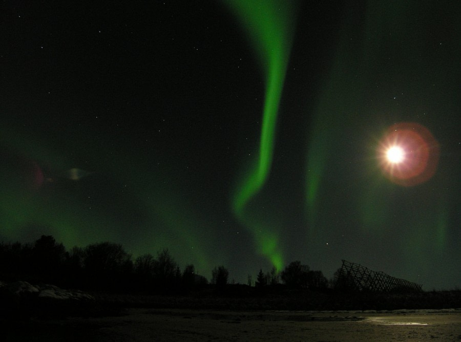 Aurora Borealis above Lofoten