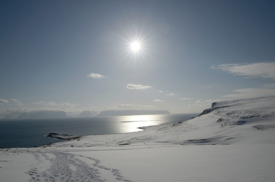 gallery_iceland_westfjords (c) lothar kutze-oceanwide expeditions (36).JPG