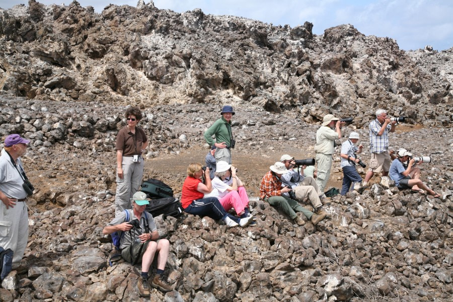 Sooty Tern Colony, Ascension Island