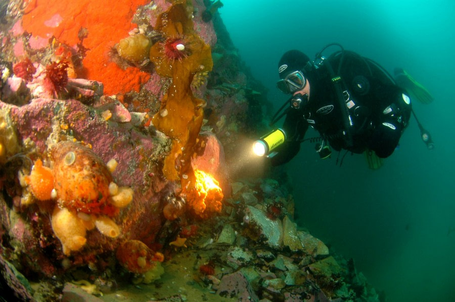 Diving in Antarctica © Carlos Villoch - Oceanwide Expeditions.jpg