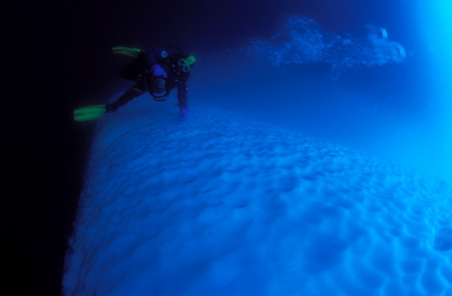 Polar Diving, Antarctica