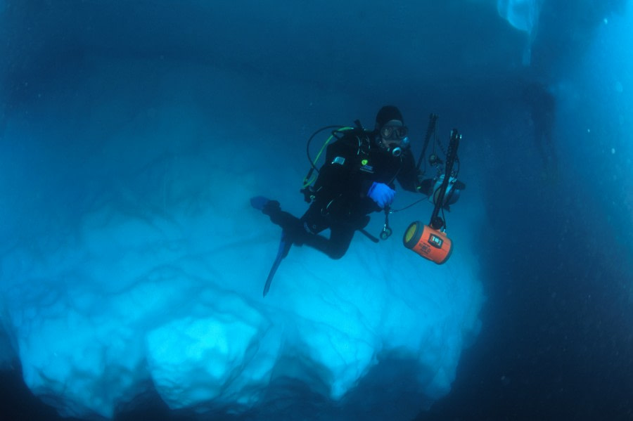 Polar Diving, diver under ice