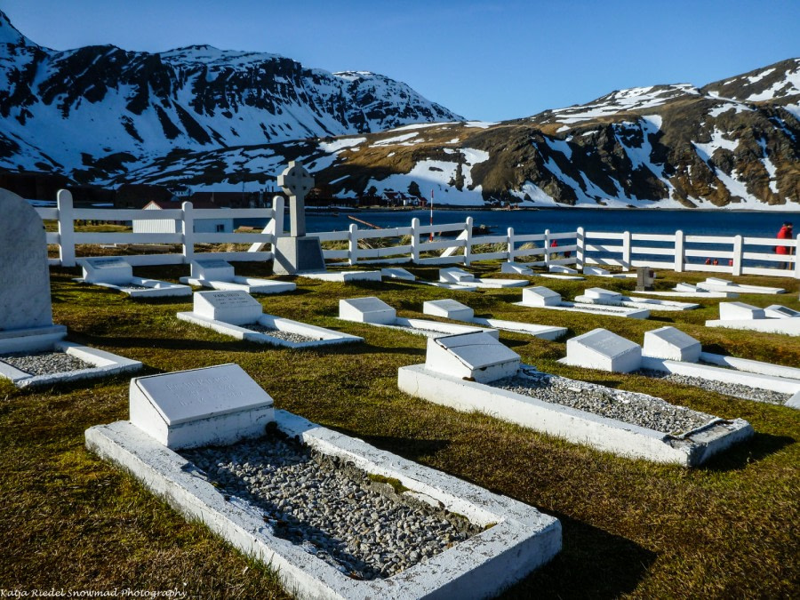 PLA21-15_Day 11 - Katja Riedel - Grytviken.jpg