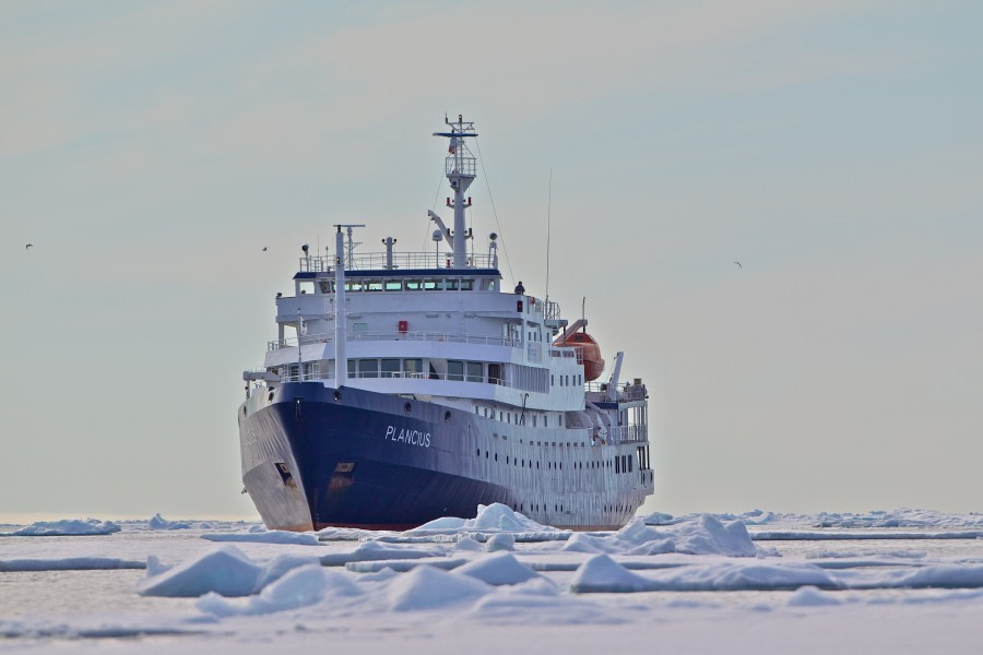 Plancius in pack ice, Spitsbergen