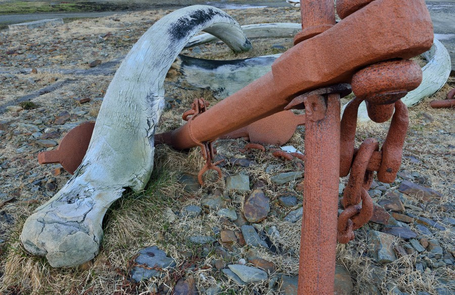 Grytviken_Whale bones and rusty anker_South Georgia_November
