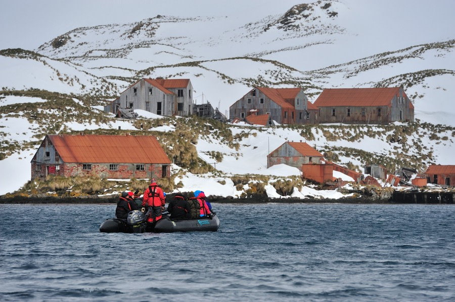 Prince Olav Harbour-South Georgia_November