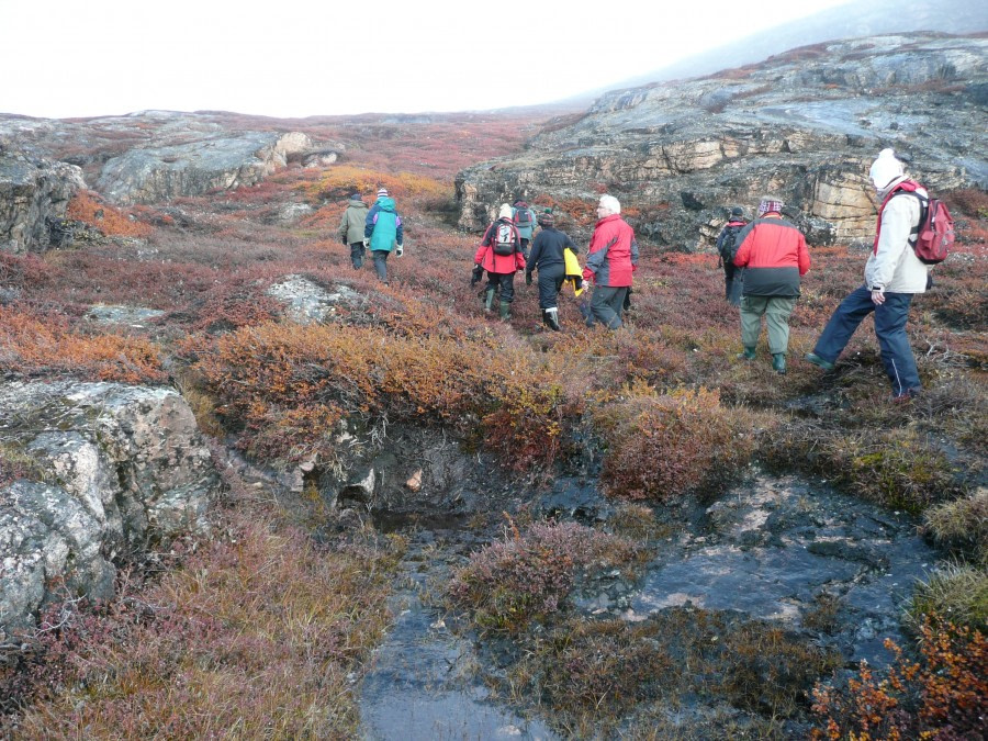 East Greenland, Tundra, Hike, September © Rob Tully-Oceanwide Expeditions (2).JPG