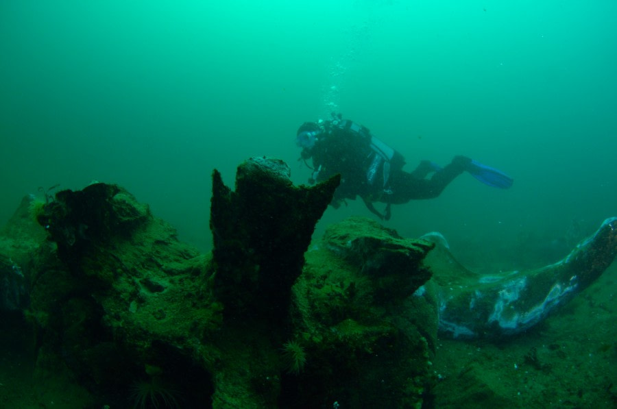 Polar Diving, Antarctica