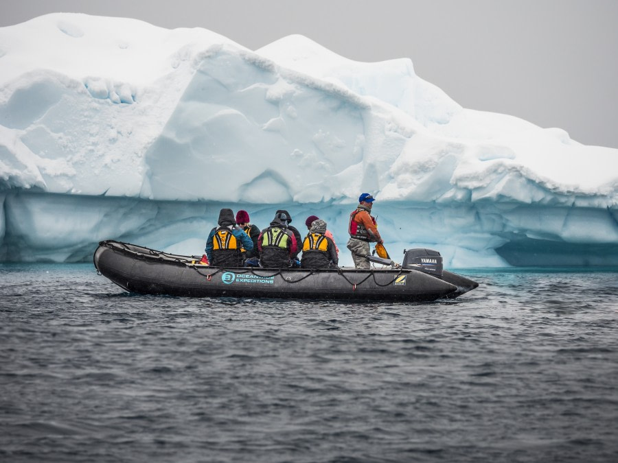 Antarctica, Zodiac cruising © Dietmar Denger-Oceanwide Expeditions.jpg