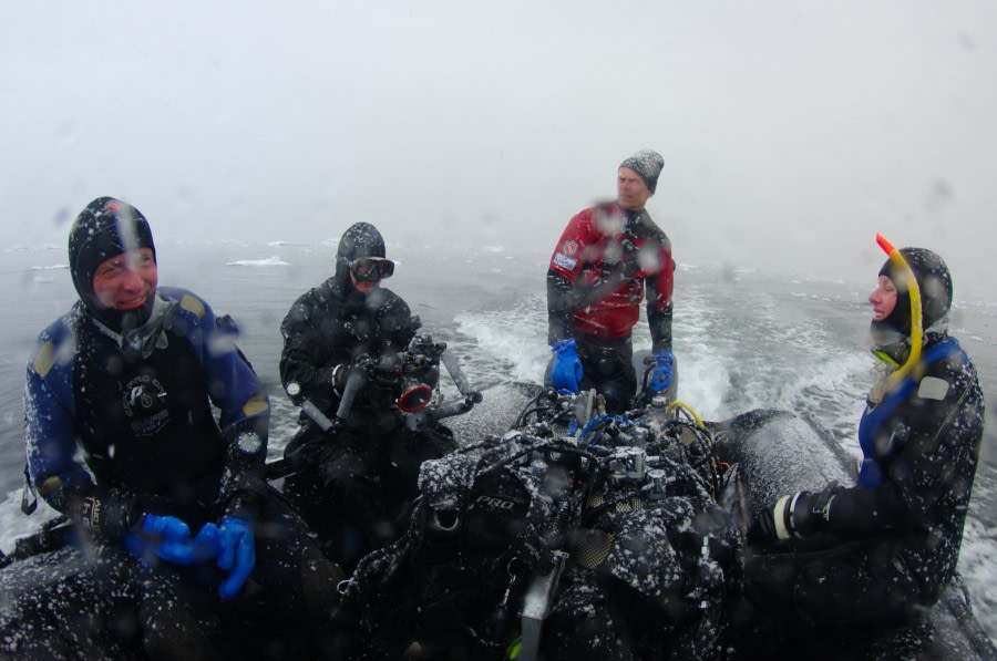 Polar Diving zodiac, Antarctica